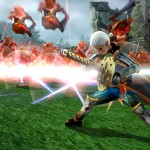Hyrule Warriors Wii U GGK (24)