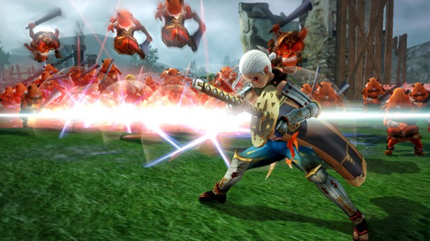 Hyrule Warriors Wii U GGK (24)